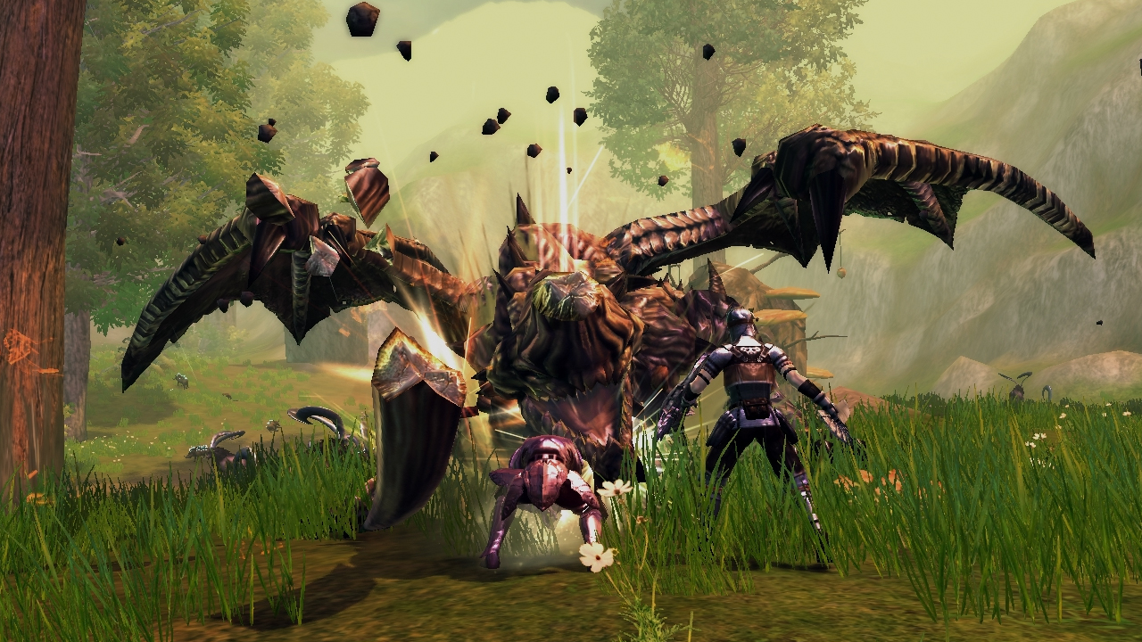 raiderz