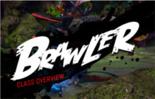 MMOBomb Exclusive: TERA Brawler Class Overview