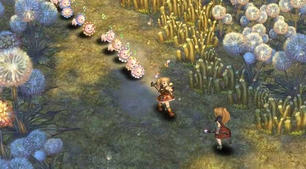 tree of savior