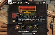 ArenaNet Refines Gem Store For Belgian Players; Now Only Loot Box-Related Items Are Unavailable