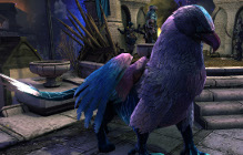 The Siege Of Neverwinter Event Kicks Off Tomorrow Morning