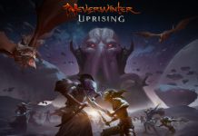 Neverwinter's Next Update Adds New Playable Race