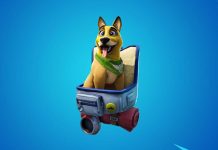 Fortnite To Refund Sales Of Pet After Player Complaints