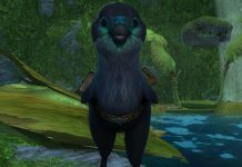 Earn Your Own Budgie Mount In Rift's Budgie Madness Event