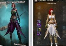 RPG Book On Kickstarter Removes Unintentionally Copied GW2 Art