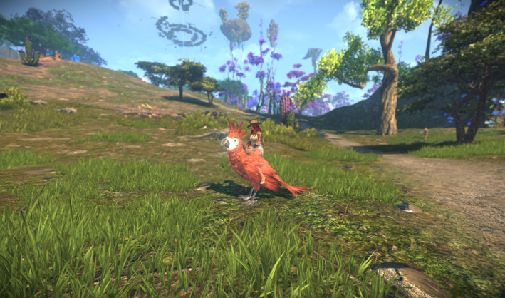 Elyon Red Parrot Mount