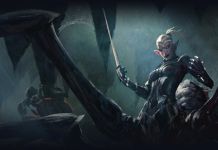 Le flux Last Driftwood Tavern de Neverwinter répond aux questions sur l'avenir du jeu