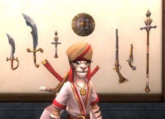 Over Tens Years After Launch, Pirate101 Finally Comes To Steam