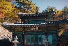 Have Some More Trailers For Black Desert Online’s Upcoming Land Of The Morning Light Expansion Before Next Week's Launch