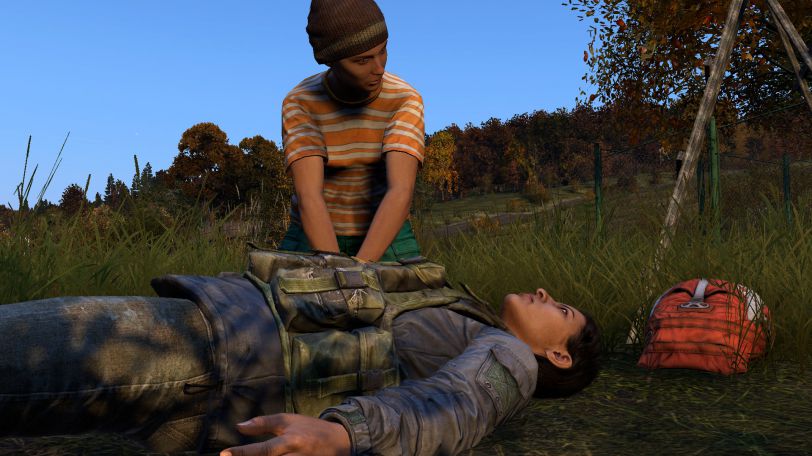 dayz rescue