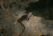 GAMESCOM 2023: Watch Path Of Exile 2’s Druid In Action