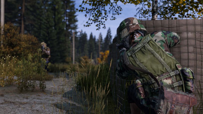 DayZ Update 1.24