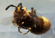 Guild Wars 2's Fuzzy Bee Skimmer Skin Is Surprisingly Cute