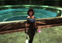 A Beginner's Guide To Guild Wars: Reforged For Guild Wars 2 Players