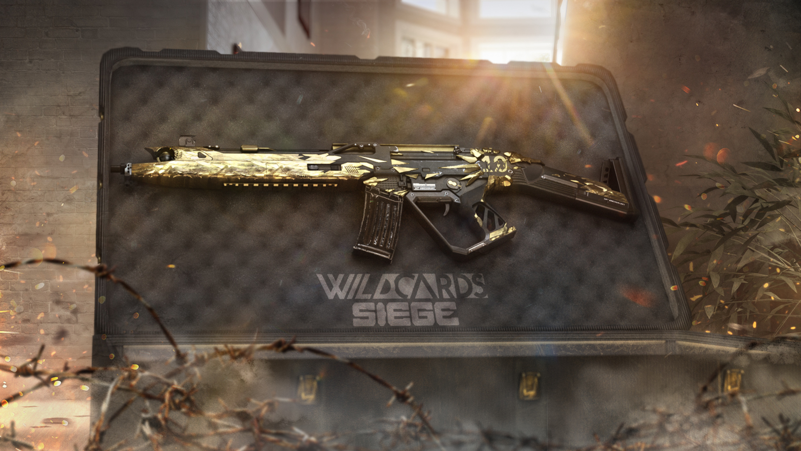 Rainbow Six Siege Wildcards