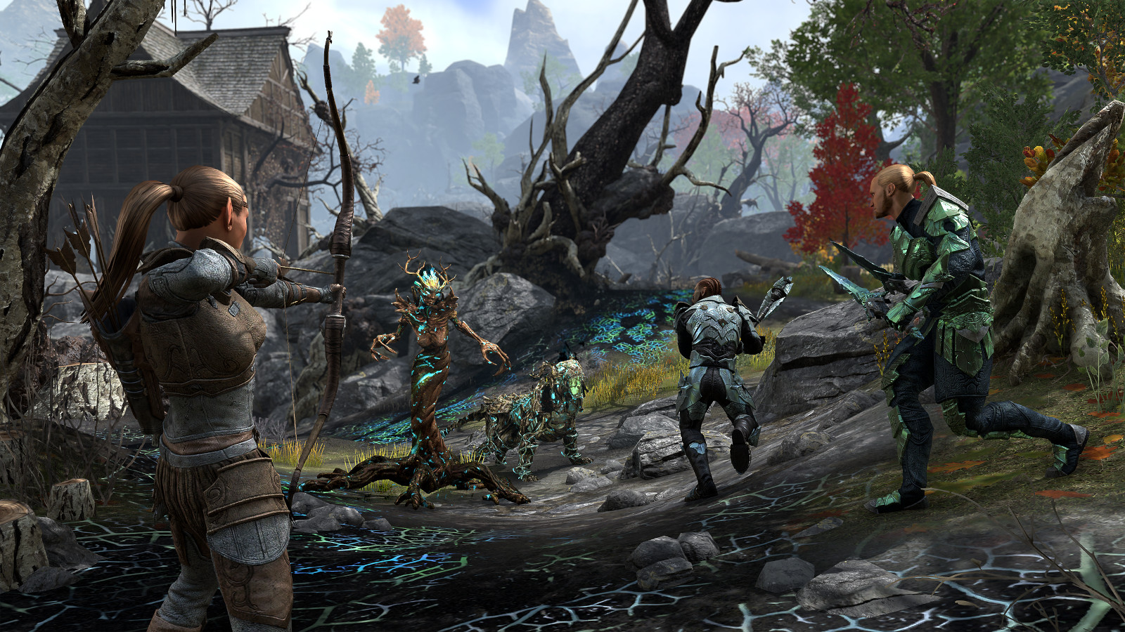 The Elder Scrolls Online Actual Gameplay