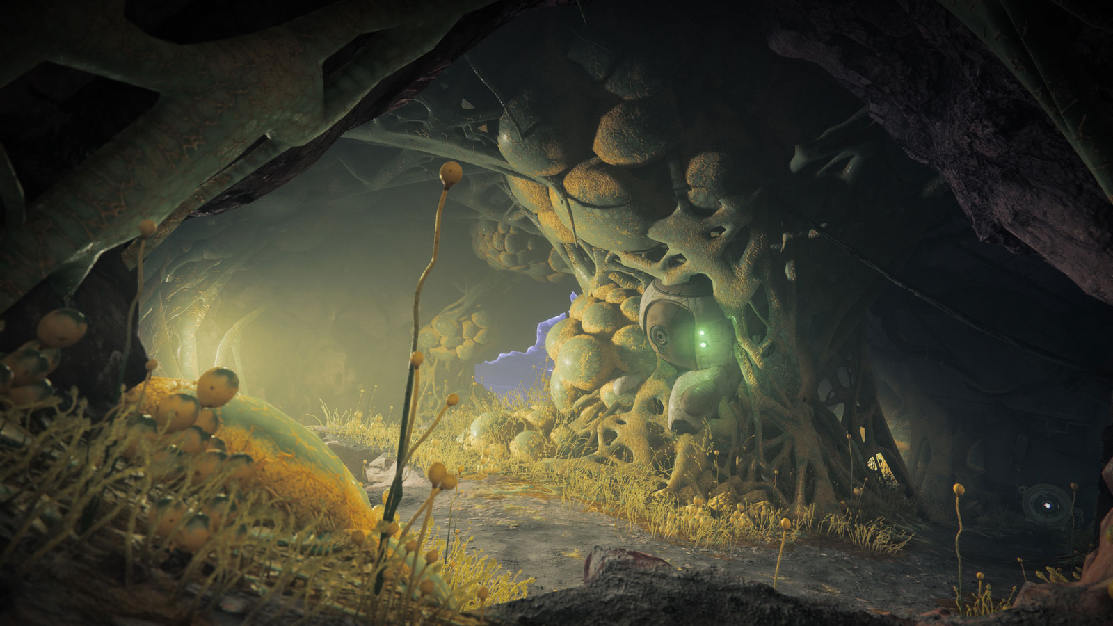 Destiny 2 Apollo Reveal
