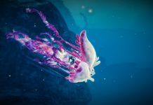 Guild Wars 2 Reveals Details On New Skimmer Mechanics Coming With Visions Of Eternity