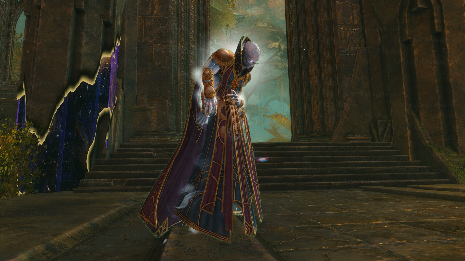 GW2 Only Way Sleepy Isgarren